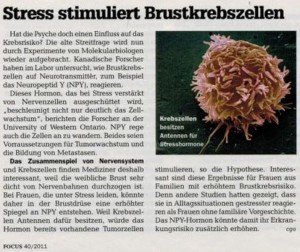 Stress stimuliert Brustkrebszellen focus