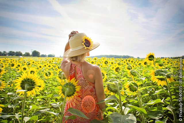 Frau im Sonnenblumenfeld